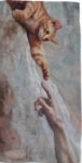 petseta-thalassis-doubleface-sunandsalt-catlike-0024